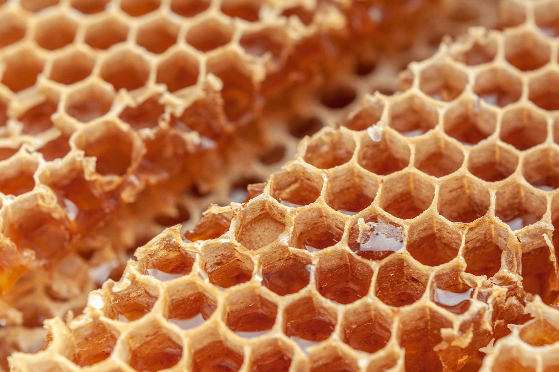 Honey vs. Artificial Sweeteners: Which Is Better for You?