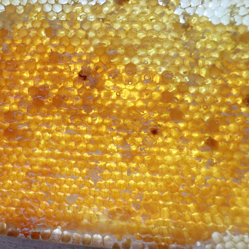 Honeycomb with raw New Zealand honey